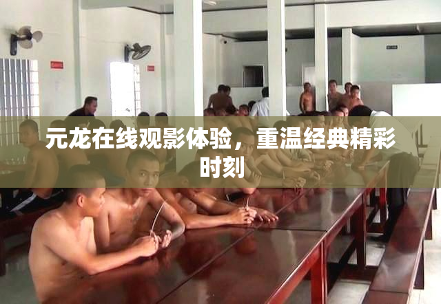 元龙在线观影体验，重温经典精彩时刻