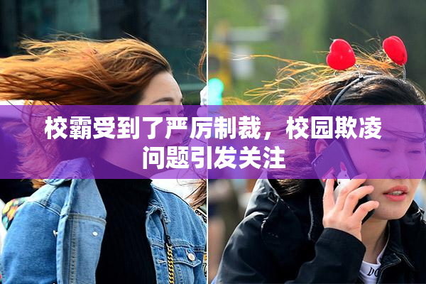 校霸受到了严厉制裁，校园欺凌问题引发关注