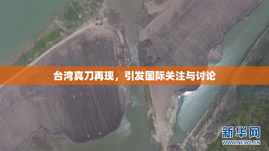 台湾真刀再现，引发国际关注与讨论