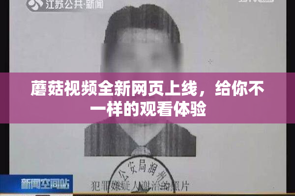 蘑菇视频全新网页上线，给你不一样的观看体验