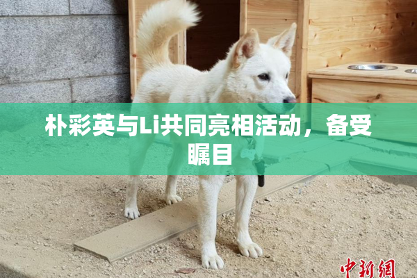 朴彩英与Li共同亮相活动，备受瞩目