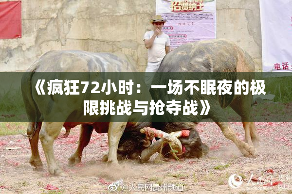《疯狂72小时：一场不眠夜的极限挑战与抢夺战》