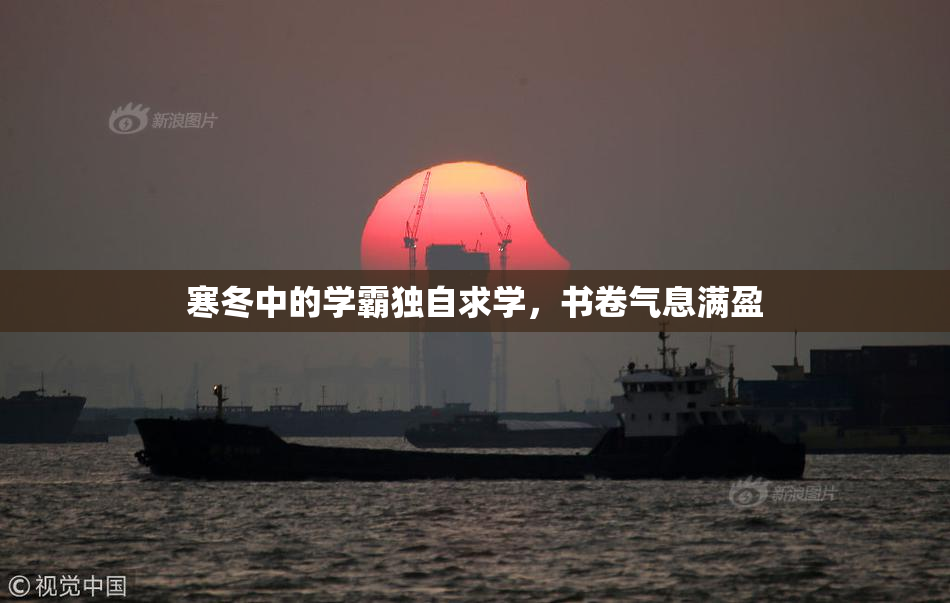 寒冬中的学霸独自求学，书卷气息满盈