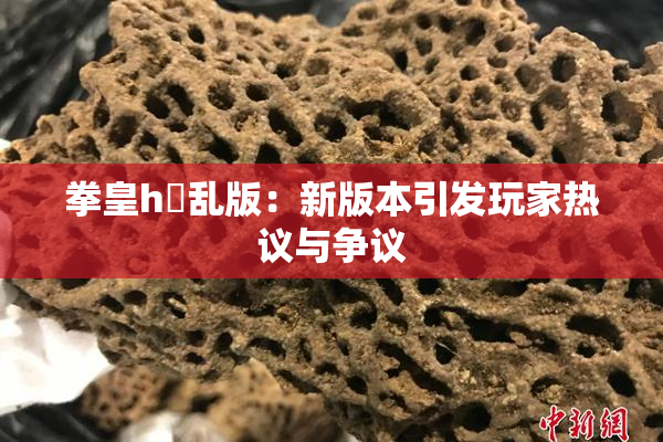 拳皇h婬乱版：新版本引发玩家热议与争议