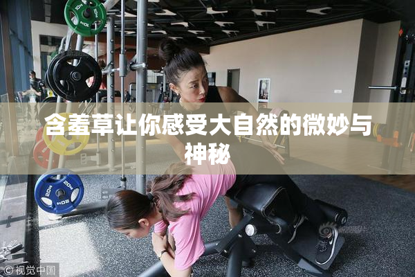 含羞草让你感受大自然的微妙与神秘