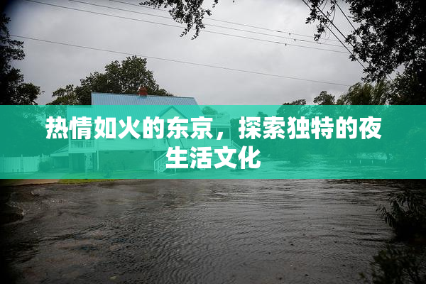 热情如火的东京，探索独特的夜生活文化