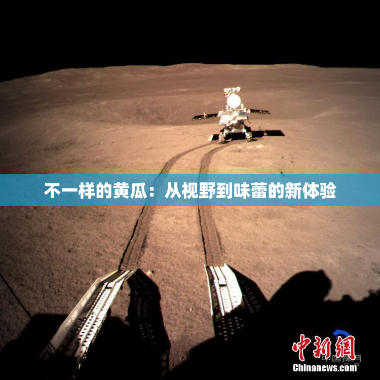 不一样的黄瓜：从视野到味蕾的新体验