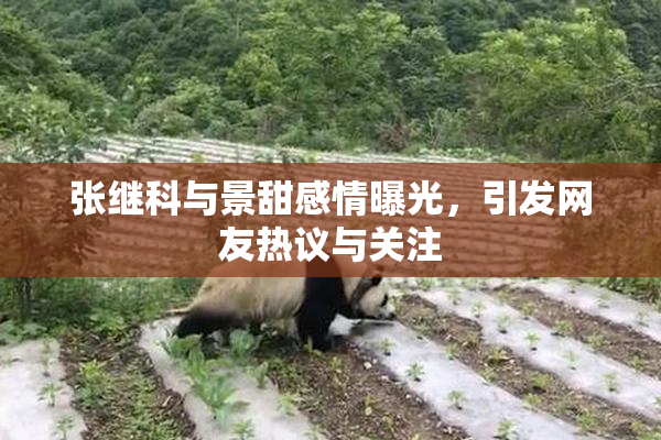 张继科与景甜感情曝光，引发网友热议与关注