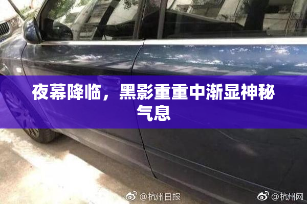 夜幕降临，黑影重重中渐显神秘气息