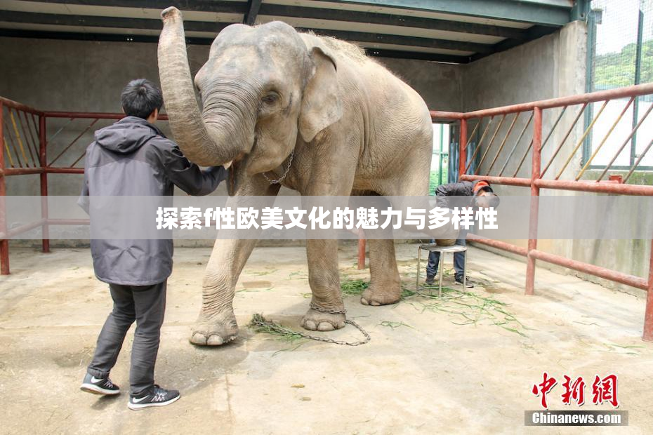 探索f性欧美文化的魅力与多样性