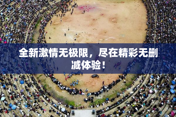 全新激情无极限，尽在精彩无删减体验！