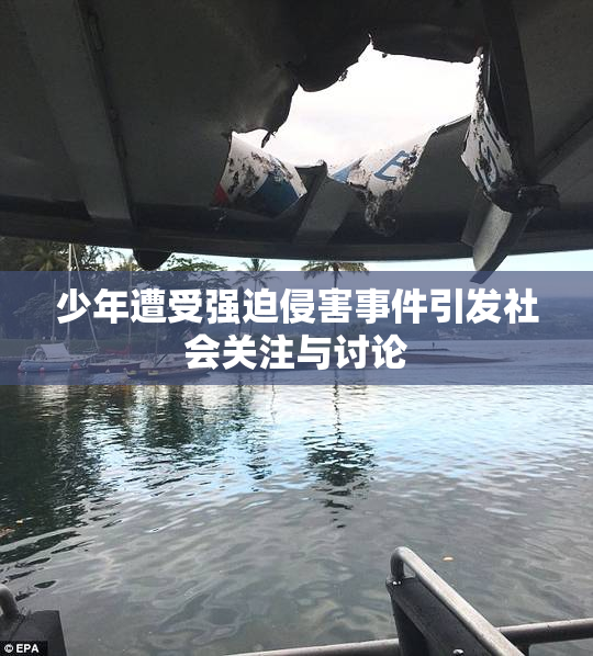 少年遭受强迫侵害事件引发社会关注与讨论