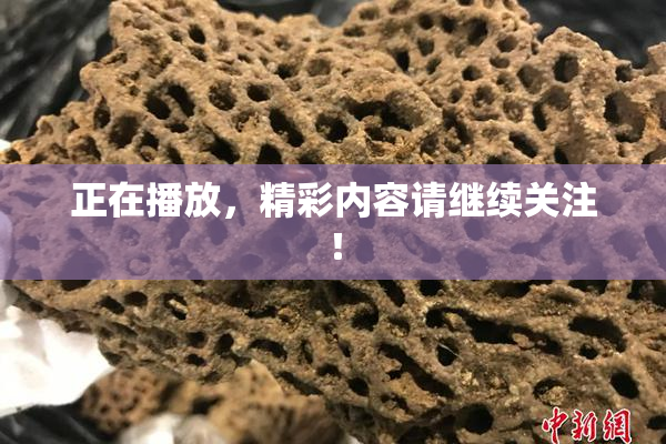 正在播放，精彩内容请继续关注！