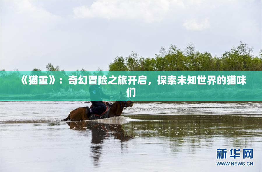 《猫重》：奇幻冒险之旅开启，探索未知世界的猫咪们