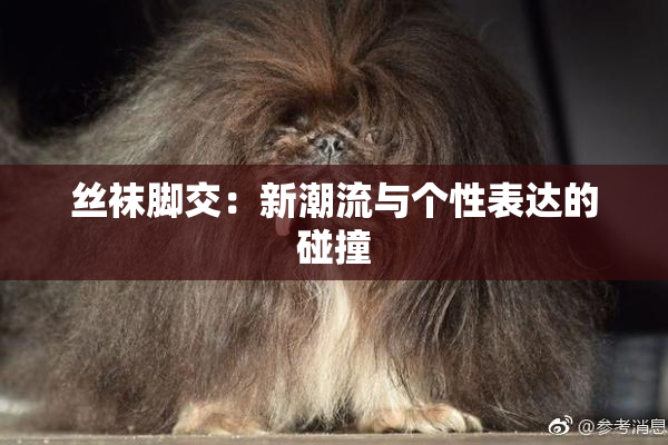 丝袜脚交：新潮流与个性表达的碰撞