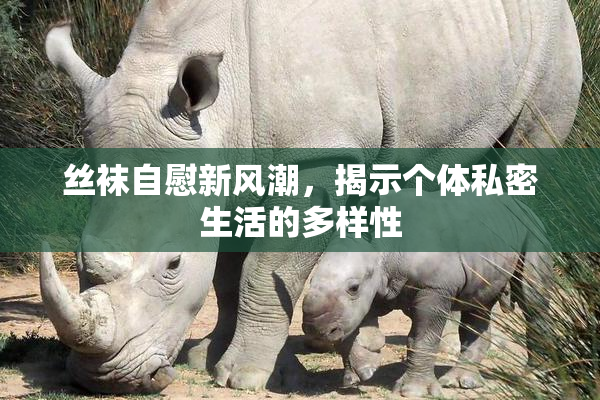 丝袜自慰新风潮，揭示个体私密生活的多样性