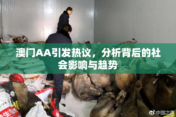 澳门AA引发热议，分析背后的社会影响与趋势