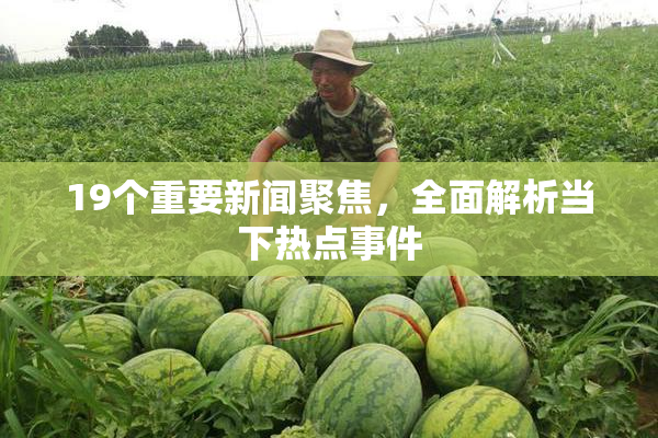 19个重要新闻聚焦，全面解析当下热点事件