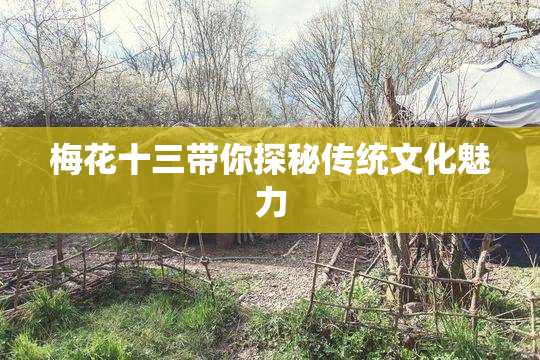 梅花十三带你探秘传统文化魅力