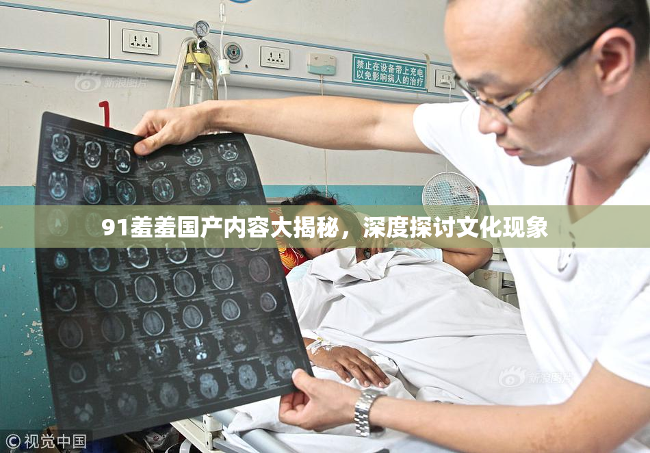 91羞羞国产内容大揭秘，深度探讨文化现象