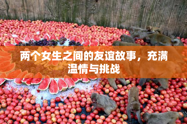 两个女生之间的友谊故事，充满温情与挑战