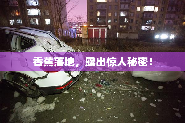 香蕉落地，露出惊人秘密！