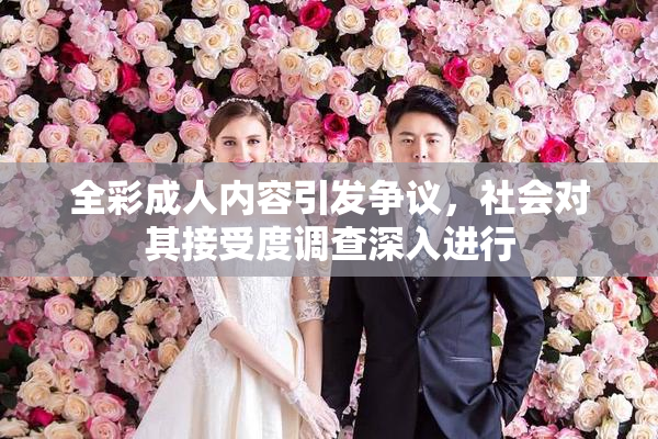 全彩成人内容引发争议，社会对其接受度调查深入进行
