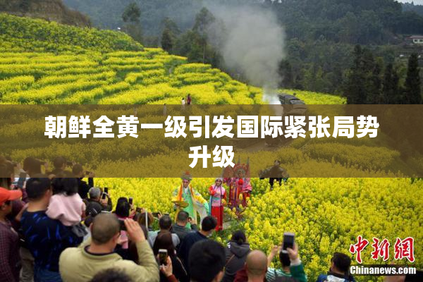 朝鲜全黄一级引发国际紧张局势升级