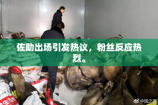 佐助出场引发热议，粉丝反应热烈。