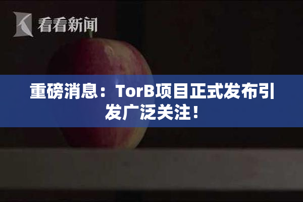 重磅消息：TorB项目正式发布引发广泛关注！
