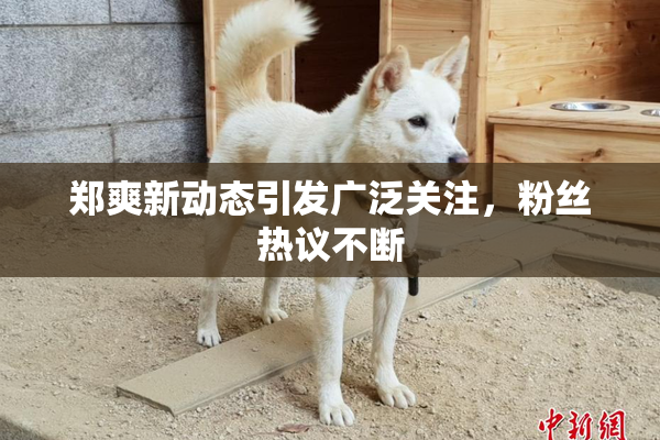 郑爽新动态引发广泛关注，粉丝热议不断