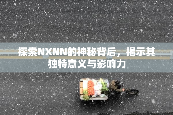 探索NXNN的神秘背后，揭示其独特意义与影响力