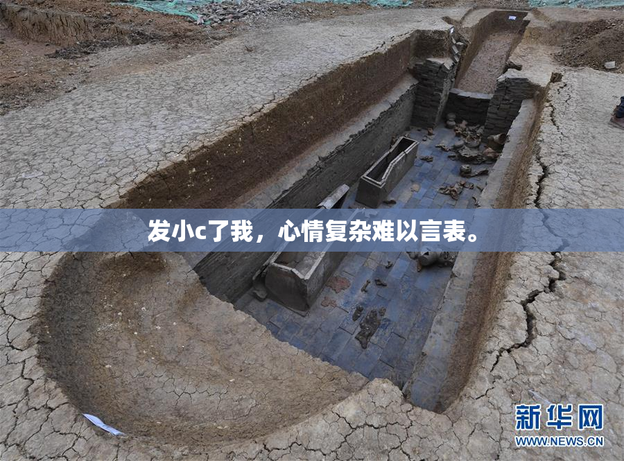 发小c了我，心情复杂难以言表。