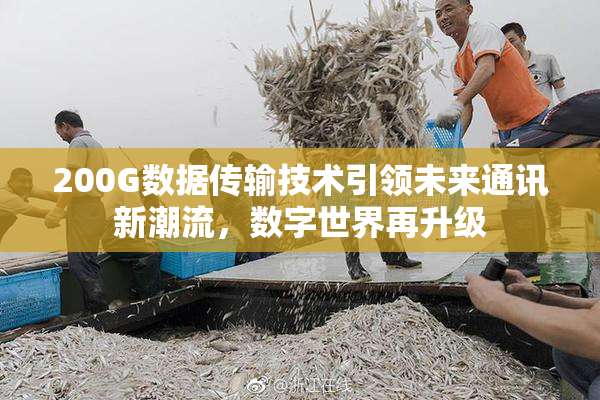 200G数据传输技术引领未来通讯新潮流，数字世界再升级