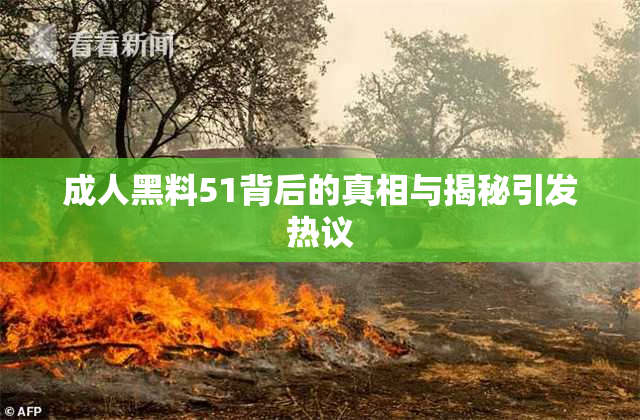 成人黑料51背后的真相与揭秘引发热议
