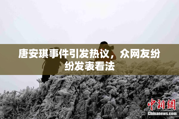 唐安琪事件引发热议，众网友纷纷发表看法