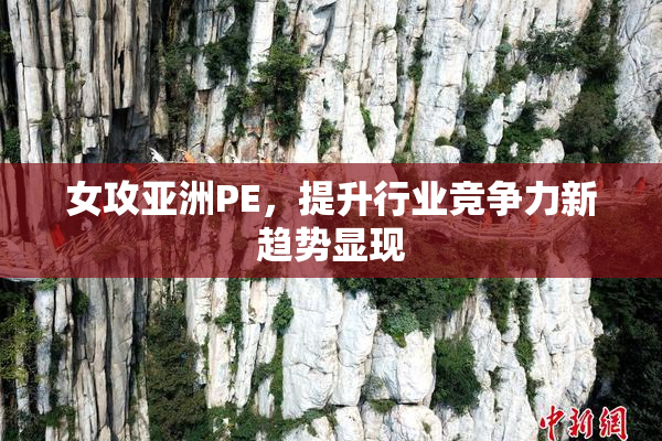 女攻亚洲PE，提升行业竞争力新趋势显现