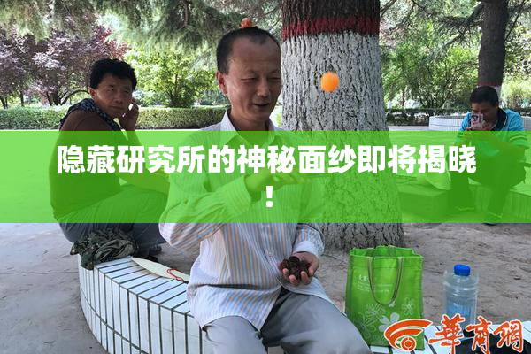 隐藏研究所的神秘面纱即将揭晓！