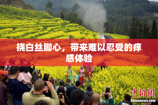挠白丝脚心，带来难以忍受的痒感体验