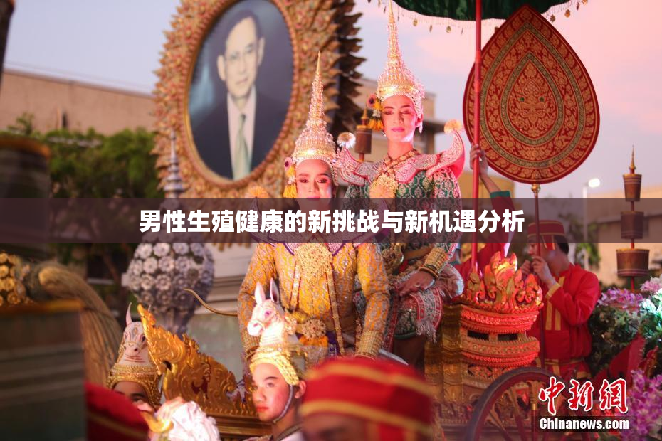 男性生殖健康的新挑战与新机遇分析