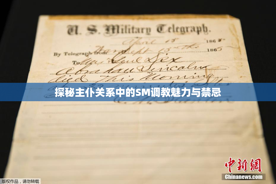 探秘主仆关系中的SM调教魅力与禁忌