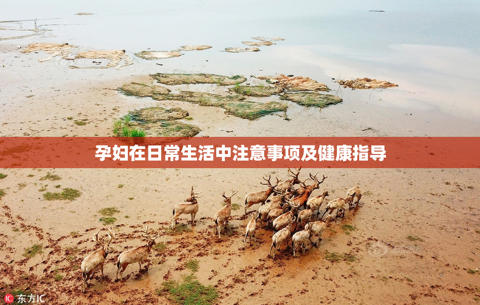 孕妇在日常生活中注意事项及健康指导