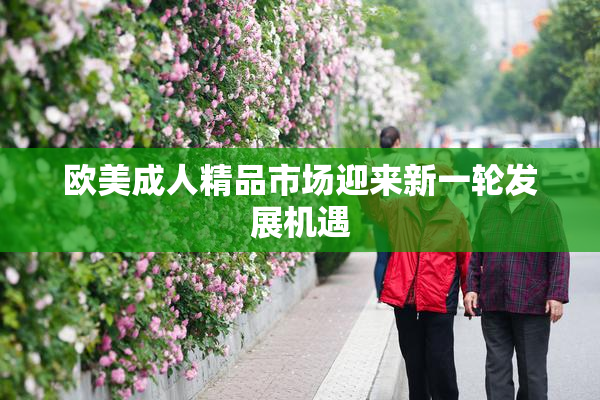 欧美成人精品市场迎来新一轮发展机遇