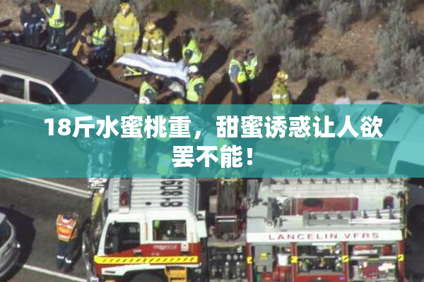 18斤水蜜桃重，甜蜜诱惑让人欲罢不能！