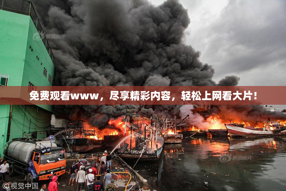 免费观看www，尽享精彩内容，轻松上网看大片！