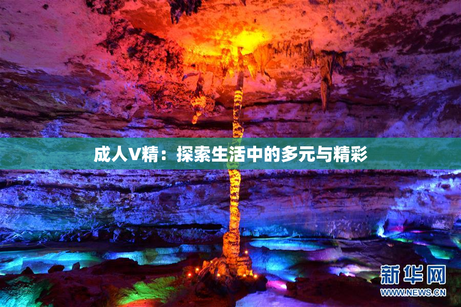成人V精：探索生活中的多元与精彩