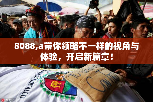 8088,a带你领略不一样的视角与体验，开启新篇章！