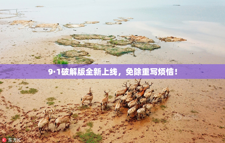 9·1破解版全新上线，免除重写烦恼！