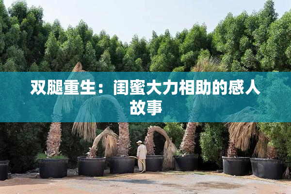 双腿重生：闺蜜大力相助的感人故事