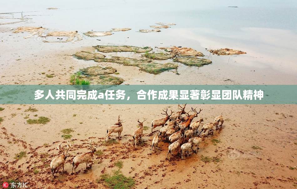 多人共同完成a任务，合作成果显著彰显团队精神